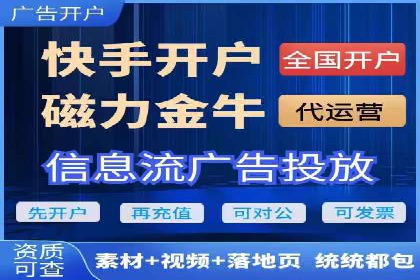 某公司SEM代理策略：实现流量转化